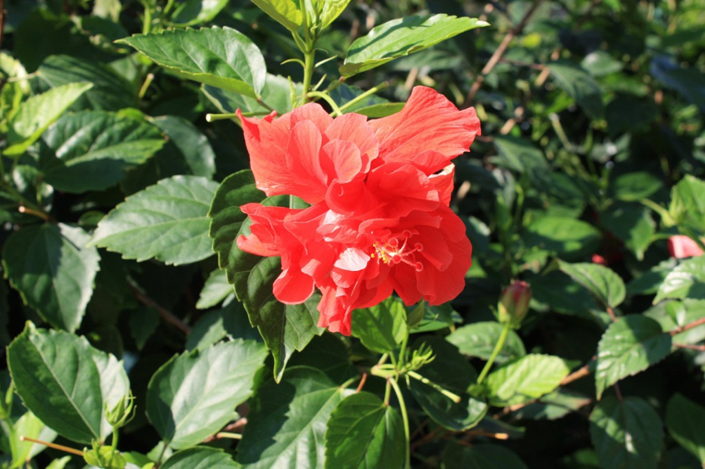 Китай 2010 282.jpg